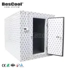Customizable 6*2.4*3m Cold Room -25~+10degrees Temperature Controlled 150mm Cooling System Freezer Retail - Freezer - foodmachtech