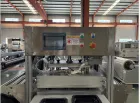 Semi-Automatic Modified Atmosphere Packaging Machine GYF-410 G2 - Packaging Machine - foodmachtech