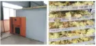 Automatic Low Energy Heat Pump Dryer Tea Leaves Flowers Drying Machine for Food Processing Featuring PLC Engine Gearbox Motor - Dryer - foodmachtech