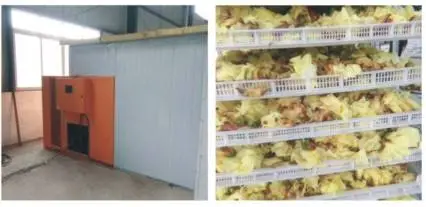 Automatic Low Energy Heat Pump Dryer Tea Leaves Flowers Drying Machine for Food Processing Featuring PLC Engine Gearbox Motor - Dryer - foodmachtech