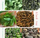 Automatic Low Energy Heat Pump Dryer Tea Leaves Flowers Drying Machine for Food Processing Featuring PLC Engine Gearbox Motor - Dryer - foodmachtech