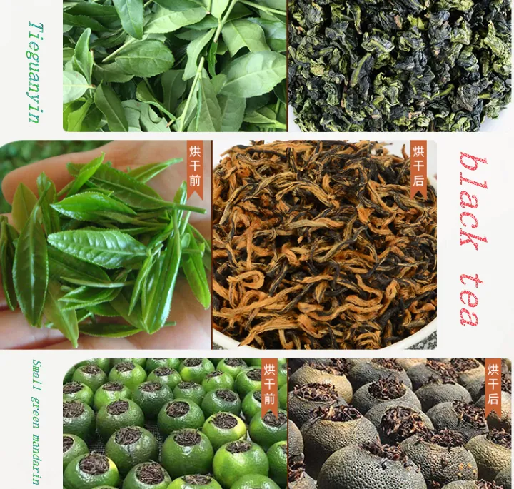Automatic Low Energy Heat Pump Dryer Tea Leaves Flowers Drying Machine for Food Processing Featuring PLC Engine Gearbox Motor - Dryer - foodmachtech