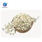 Large Air Puffing Machine/Puffed Rice Making Machine/Rice Puffing Equipment - Extruder - foodmachtech