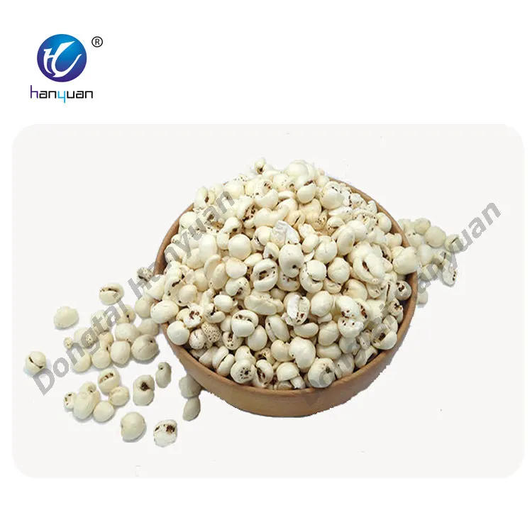 Large Air Puffing Machine/Puffed Rice Making Machine/Rice Puffing Equipment - Extruder - foodmachtech