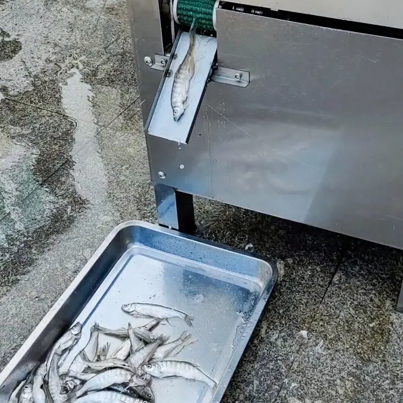고효율 150g 작은 물고기 정어리 내장 내장 제거 청소 기계 - 가금류 구팅 기계 - foodmachtech
