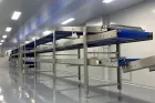 Hochwertige automat ische Kekse Kekse machen Maschine kleine Keksform Verarbeitende Productions linie - Biskuit-Stanz maschine - foodmachtech
