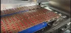 Rucht Vitamine Gelee Kleine Süßigkeiten Bär Automatique Produktion Mini Fabrication Déposant Faire Gummibärchen Faisant La Machine - Machine à bonbons - foodmachtech
