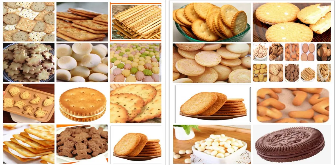 Automatisches Minikörnchen-Keks-Einlegemasch ine industrielle Rotationen-Keks-Stellungs maschine für Liefer anten - Biskuit-Stanz maschine - foodmachtech