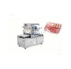 Semi-Automatic Modified Atmosphere Packaging Machine GYF-410 G2 - Packaging Machine - foodmachtech