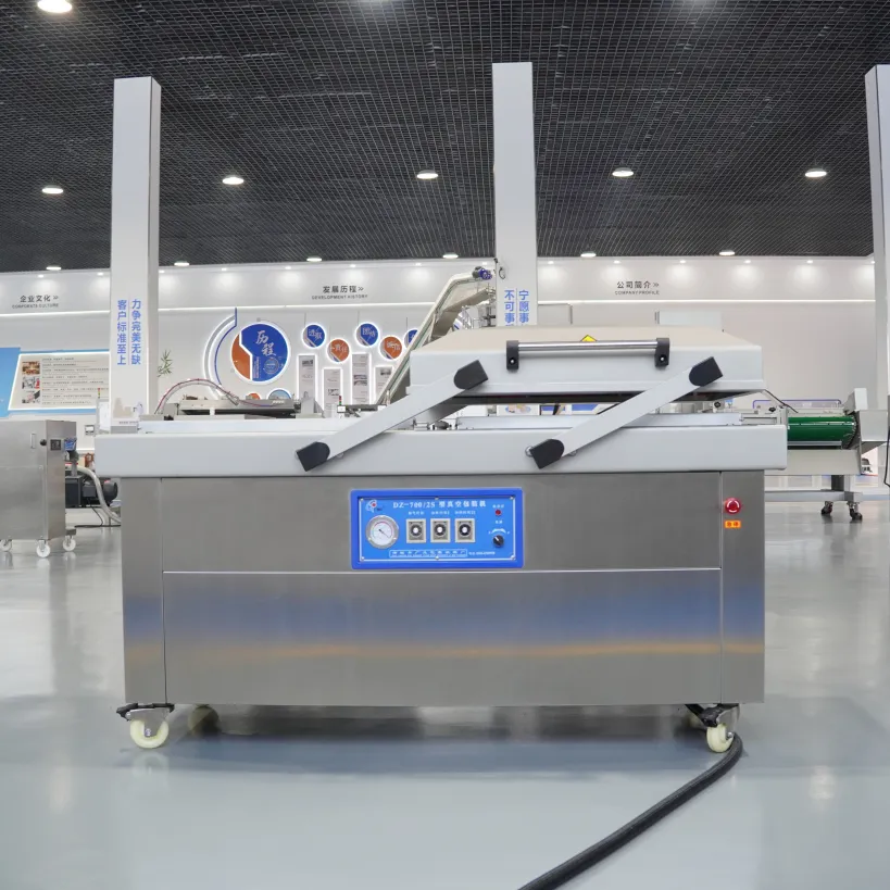 DZ-700/2S Double Chamber Vacuum Packaging Machine Rice and Yellow Croaker Packing - Packaging Machine - foodmachtech