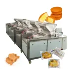 Small Automatic Cup Sponge Cake Batter Fill Muffin Production Depositor Cake Make Machine - Bread Shaping Machine - foodmachtech