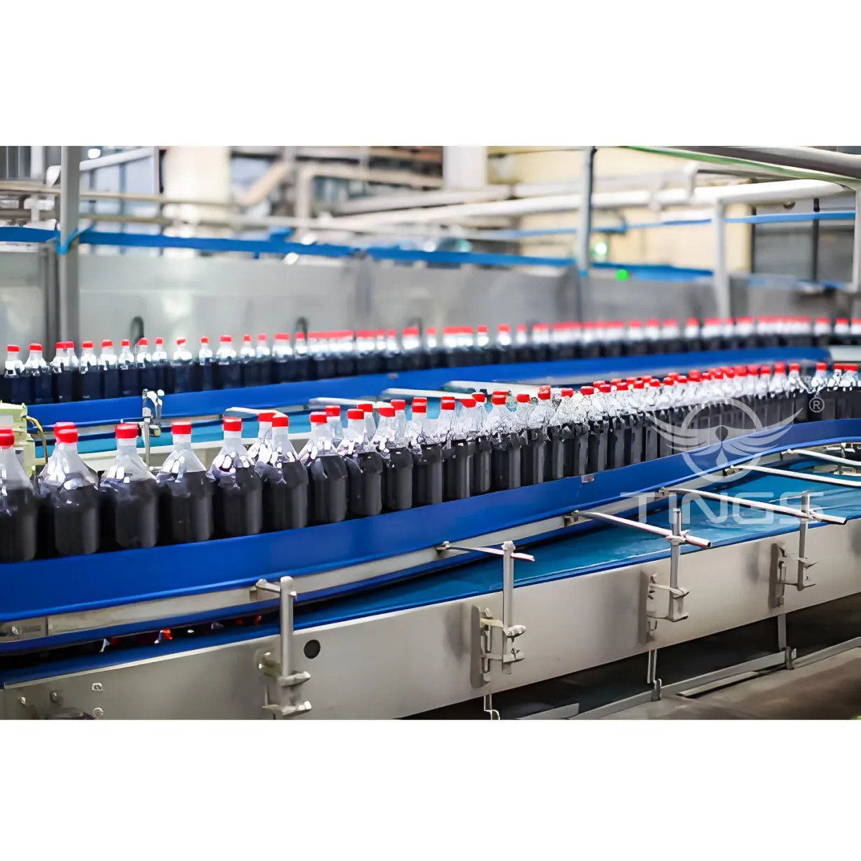Máquina automática de etiquetado de llenado de bebidas carbonatadas de botellas de CDS - Máquina llenadora - foodmachtech
