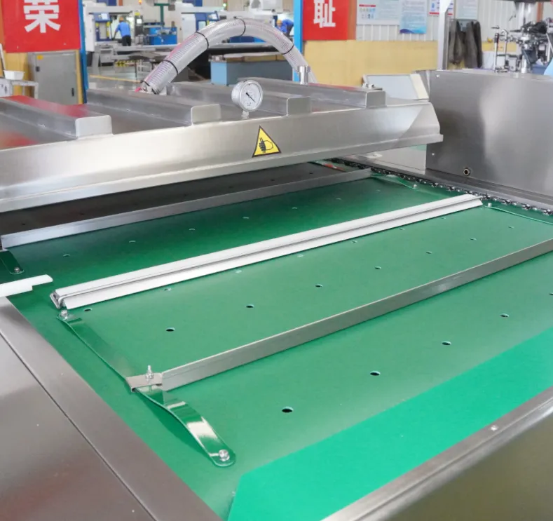 DZD vacuum packaging machine - Packaging Machine - foodmachtech