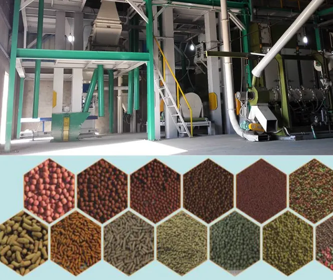 Extrusora automática alimentação Twin Screw granulador preço Cat Dog Pet Fish Food Processing Machines - Linha Produção Pet Food - foodmachtech