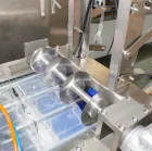 Small Size Basa Fillet Thermoforming Vacuum Packing Machine Can Be Customized - Packaging Machine - foodmachtech