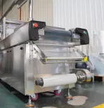 Небольшая машина упаковки вакуума Thermoforming филе Basa размера может быть настроена - Упаковочная машина - foodmachtech