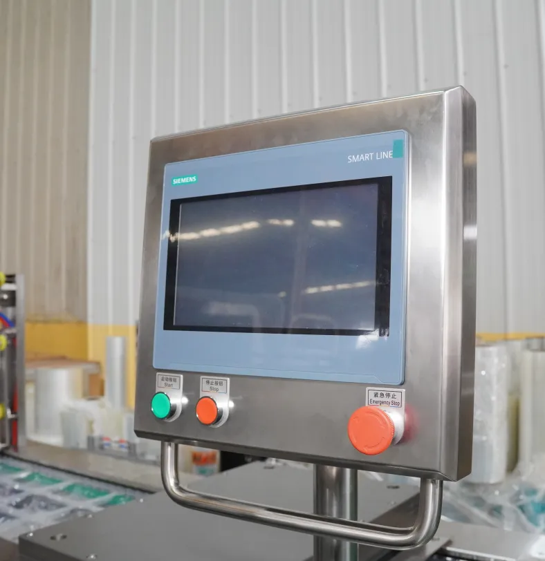 Small Size Basa Fillet Thermoforming Vacuum Packing Machine Can Be Customized - Packaging Machine - foodmachtech