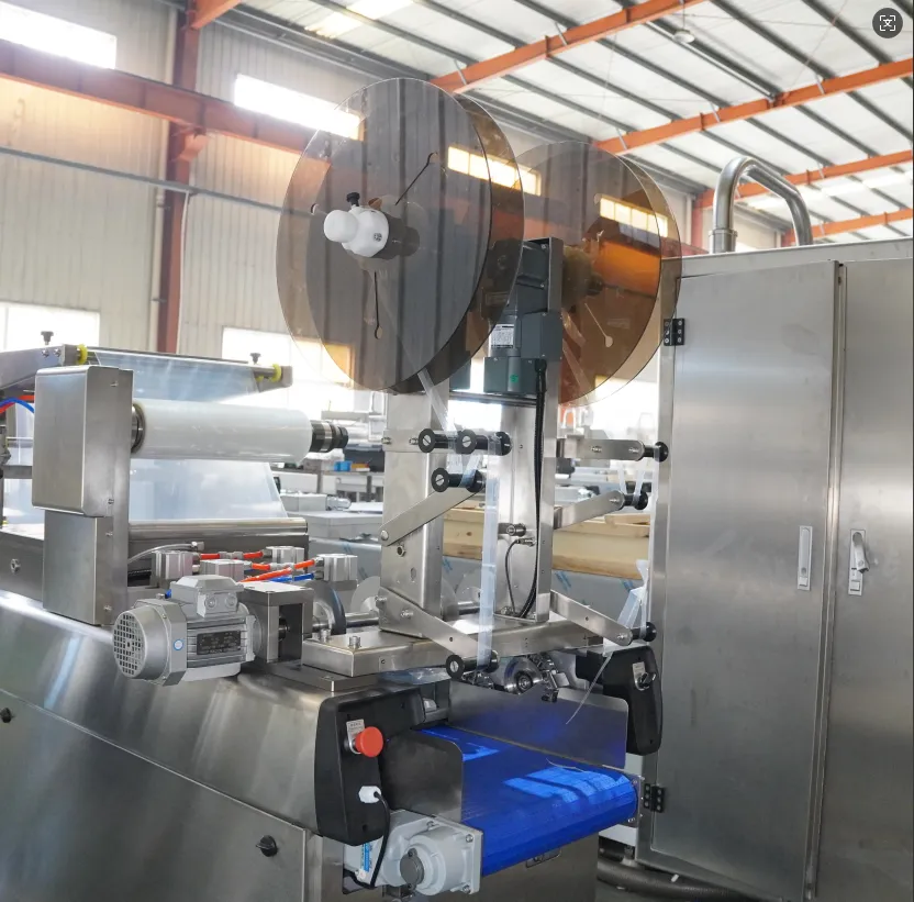 Small Size Basa Fillet Thermoforming Vacuum Packing Machine Can Be Customized - Packaging Machine - foodmachtech