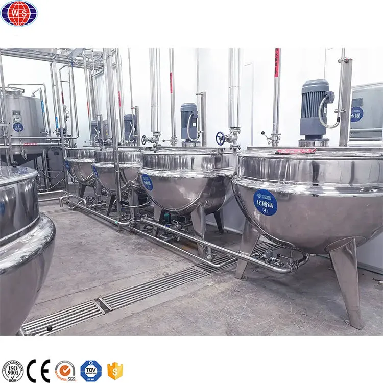 Tomatenpaste-Verarbeitungs-Ausrüstung Maschine zur Herstellung von Tomatensauce - Käse presse - foodmachtech