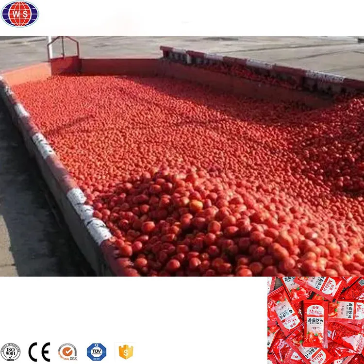 Bolsita de pasta de tomate que hace la máquina Nueva línea de producción personalizada de mermelada de tomate de una tonelada - Prensa de queso - foodmachtech