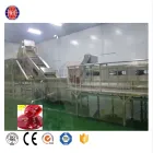 Автоматическая Томатная Паста Делая Машину Небольшой Томатный Соус Делая Машину - Сырный пресс - foodmachtech