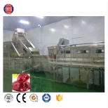 Automatic Tomatoes Paste Making Machine Small Tomato Sauce Making Machine - Cheese Press - foodmachtech