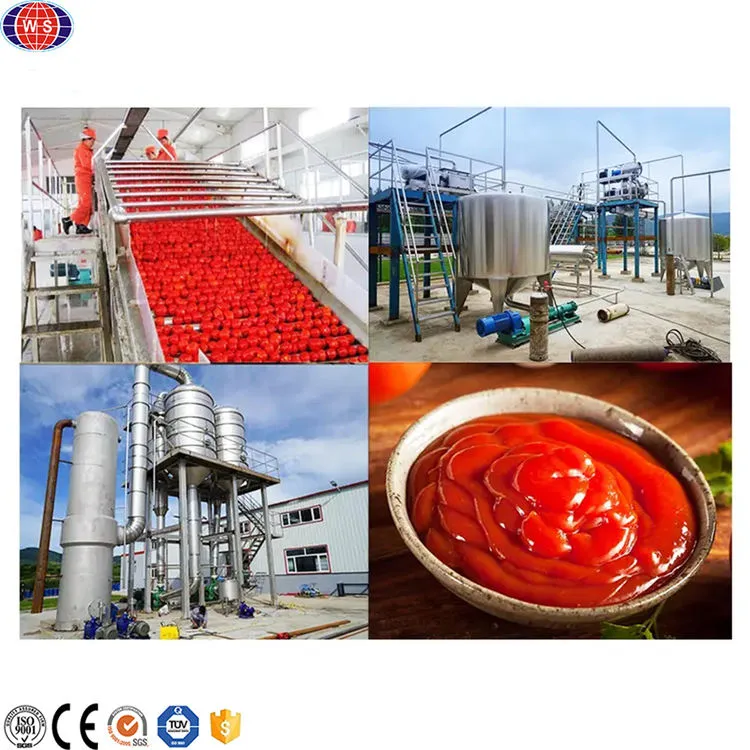 Tomatenpaste-Verarbeitungs-Ausrüstung Maschine zur Herstellung von Tomatensauce - Käse presse - foodmachtech