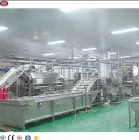 Linha De Produção De Bebida De Suco De Pequena Escala Linha De Processamento De Suco De Capacidade 2000 Bph - Linha Produção Bebidas - foodmachtech