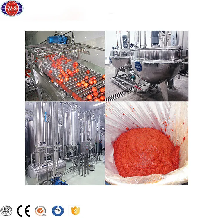 Bolsita de pasta de tomate que hace la máquina Nueva línea de producción personalizada de mermelada de tomate de una tonelada - Prensa de queso - foodmachtech