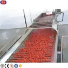 Tomatenpaste-Verarbeitungs-Ausrüstung Maschine zur Herstellung von Tomatensauce - Käse presse - foodmachtech