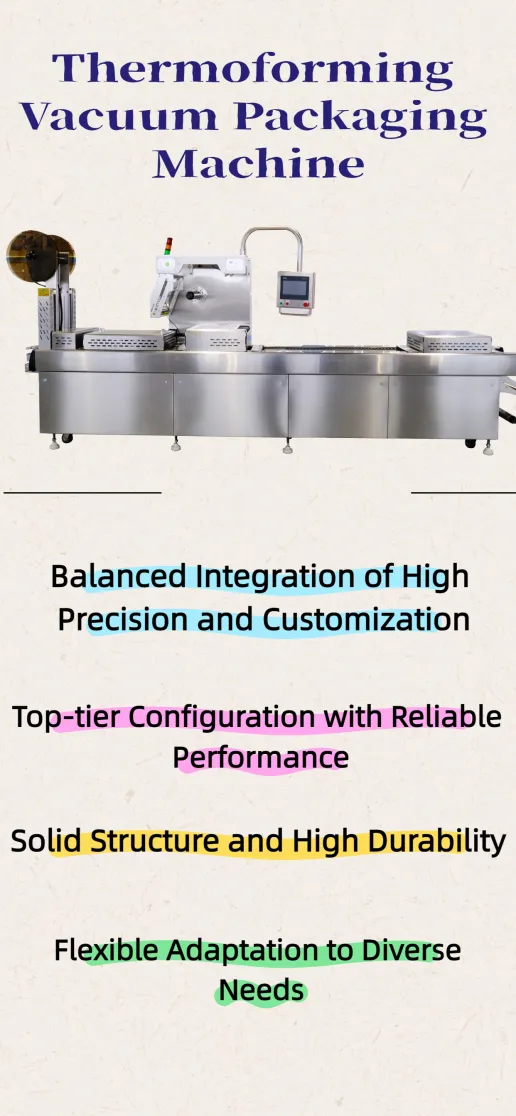 Máquina de embalaje de vacío Thermooming DZDL-520-572 embalaje de cordero - Máquina de envasado - foodmachtech