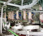 Machine d'abattage de porc pour les abattoirs de porcs de Matadero De Cerdo - Machine de fractionnement de carcasse de porc - foodmachtech