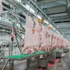 Machine d'abattage de porc pour les abattoirs de porcs de Matadero De Cerdo - Machine de fractionnement de carcasse de porc - foodmachtech