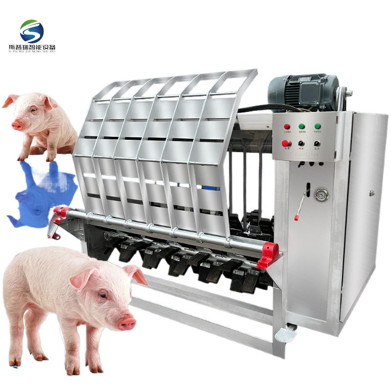 Pigskin degreasing Machine อุปกรณ์ฆ่าหมูรอกเบ็ดหมูโรงงานแปรรูป