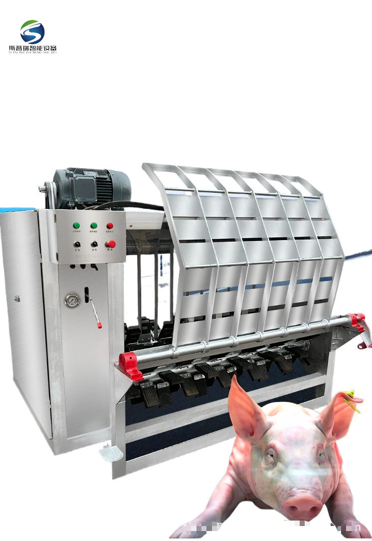 ตะขอรอกสำหรับอุปกรณ์ฆ่าหมูใช้ในโรงฆ่าสัตว์