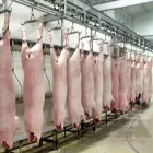 Transportador de sangrado de cerdo para matadero grande - Transportador de arriba del cerdo - foodmachtech