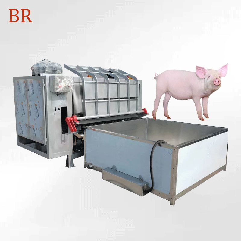 เครื่องจักรฆ่าหมูและอุปกรณ์เครื่องกำจัดขน