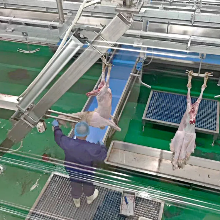 50-500GPH abattage et écorcher les lignes pour vaches et chèvres Chèvre abattage V cadre en acier - Chaîne de production de transformation d'abats de bétail et de moutons - foodmachtech
