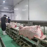 핵심 구성 요소 모터와 베어링을 갖춘 소 자동 돼지 도살 기계에 대한 현대적인 완벽한 도축 라인 - 소 & 양 도살 생산 라인 - foodmachtech