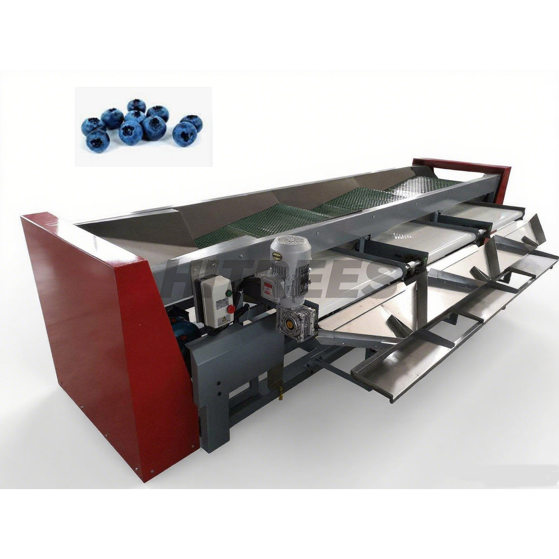 Clasificador comercial de la calidad del arándano 625 kg/h para la industria alimentaria