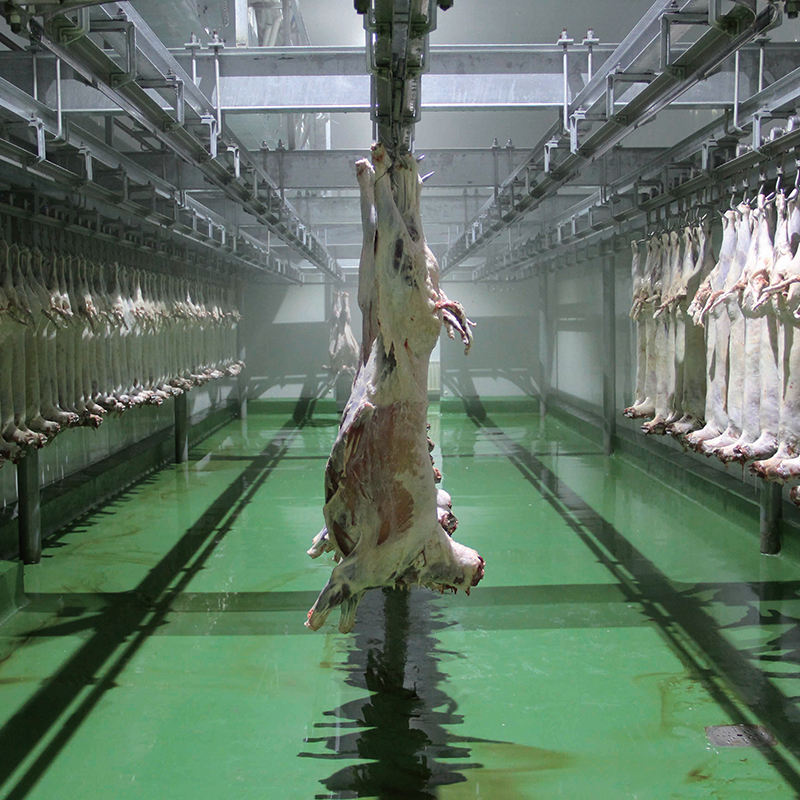 อุปกรณ์ฆ่าแกะฮาลาลสายปรับแต่งสำหรับฆ่าแกะที่ทันสมัยสายฆ่าแกะ