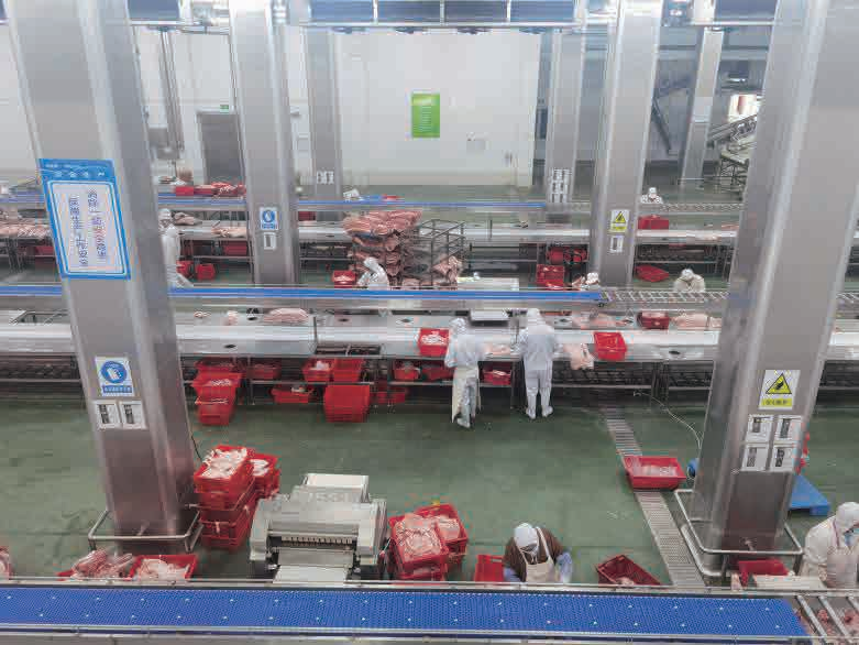 อุปกรณ์ฆ่าสัตว์ที่สมบูรณ์แบบสำหรับการแปรรูปวัวและแกะพร้อมส่วนประกอบหลักรวมถึงมอเตอร์และตลับลูกปืน