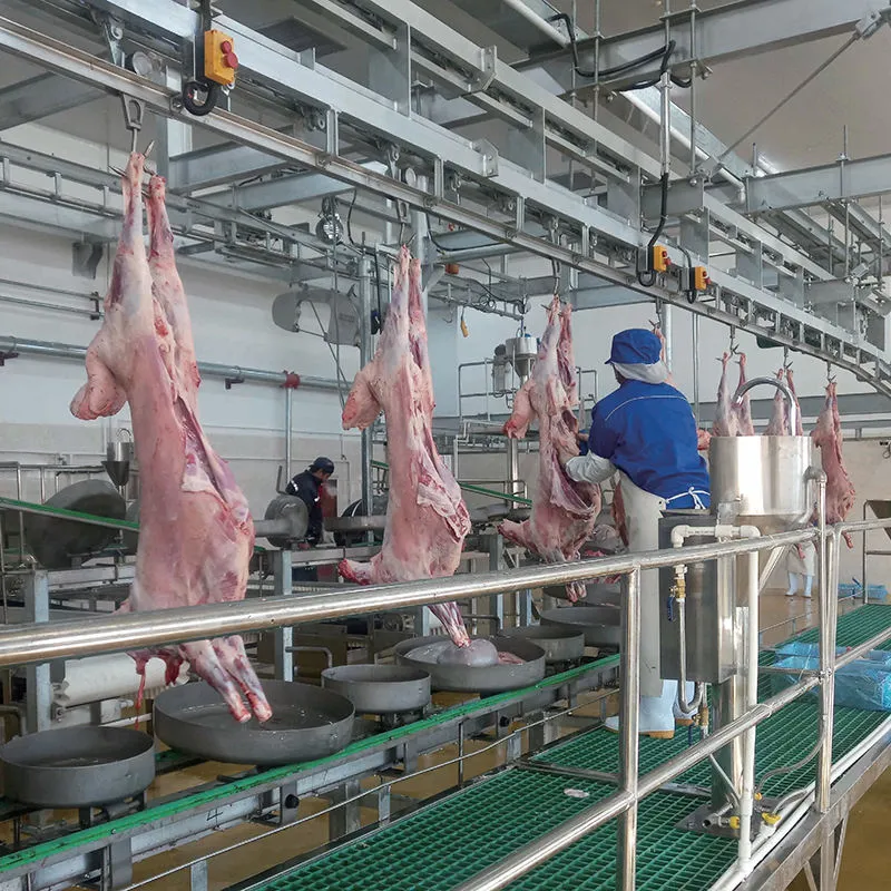 고기 가공 공장을 위한 양 도축 기계 원스톱 도살 기계 라인 장비 - 소 & 양 도살 생산 라인 - foodmachtech