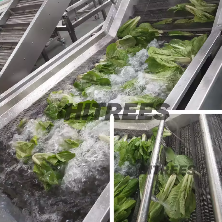 Leafy Vegetable Fruit Lettuce Cabbage Air Bubble Washing Cleaning Machine