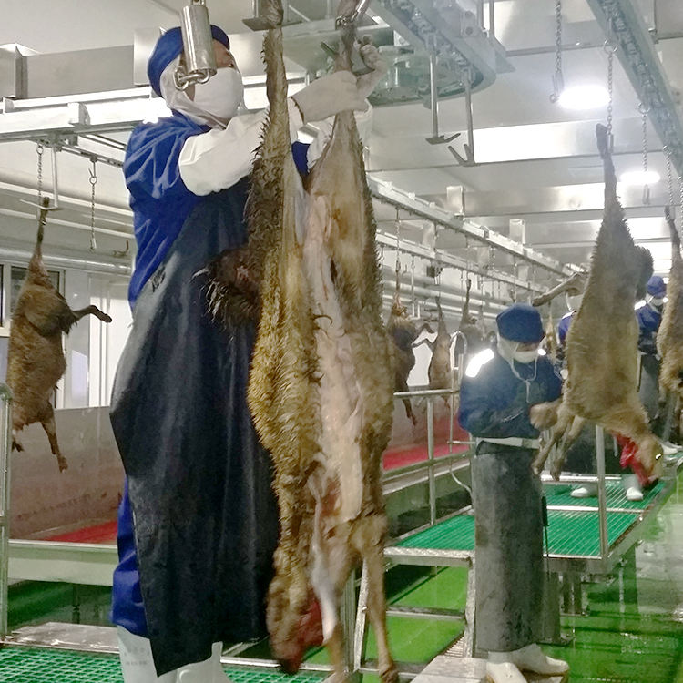 เครื่องฆ่าฮาลาล50-500GPH อุปกรณ์ฆ่าแกะแพะอุปกรณ์ฆ่าแกะอัตโนมัติสำหรับแกะและแพะ