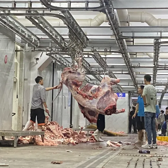 Bộ thiết bị chế biến thịt công nghiệp tự động cho máy giết mổ Lợn Gia súc dây chuyền có động cơ cho chế biến thịt