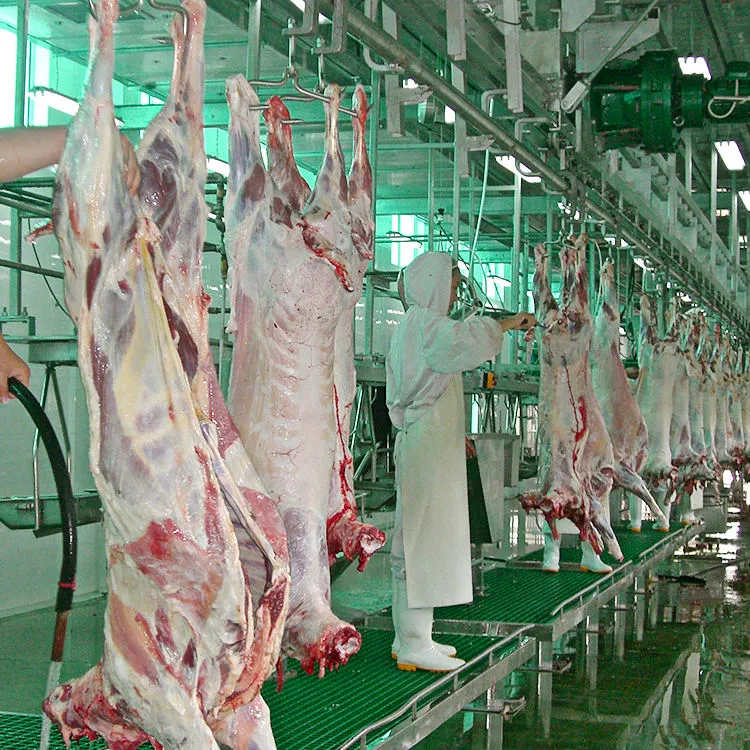 50-500GPH abattage et écorcher les lignes pour vaches et chèvres Chèvre abattage V cadre en acier - Chaîne de production de transformation d'abats de bétail et de moutons - foodmachtech