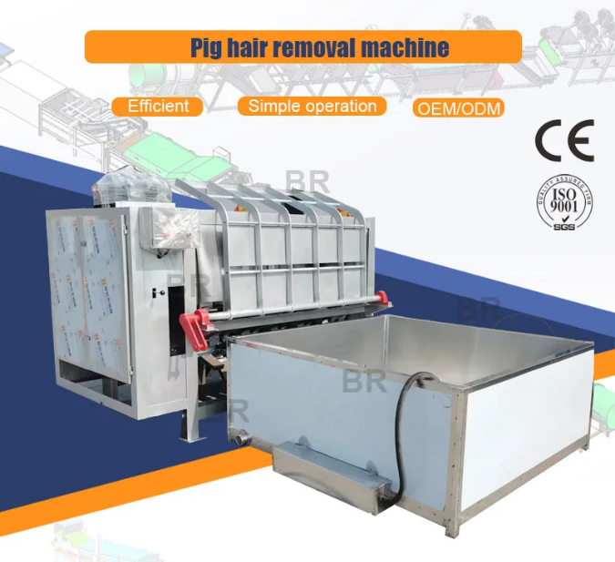 เครื่องกำจัดขนหมูรวมถึงเครื่องโกนหนวดกำจัดขนหมู