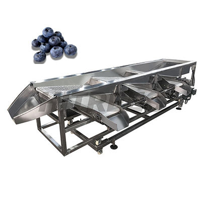 Clasificadora de alto rendimiento de la baya 625 kg/h para la exportación