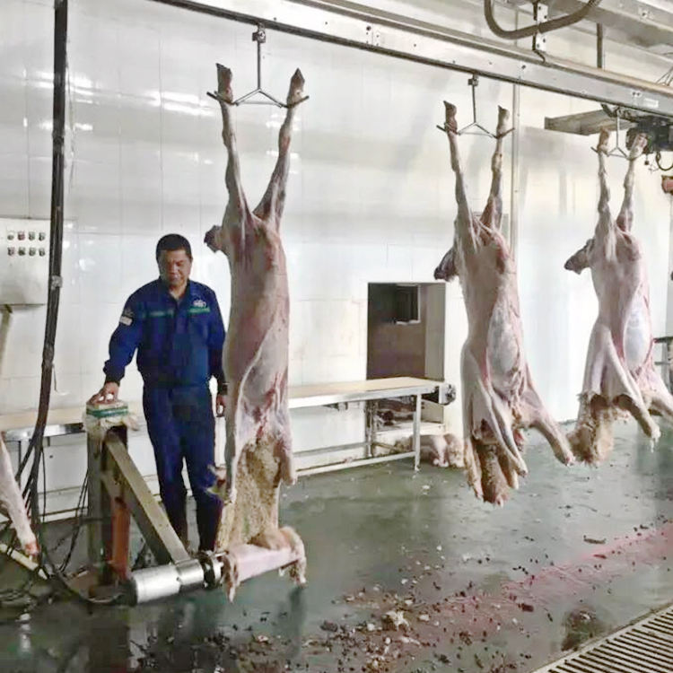 50-500GPH แกะเนื้อฆ่ากระบวนการสำหรับฆ่าเครื่องจักรแกะฆ่าอุปกรณ์